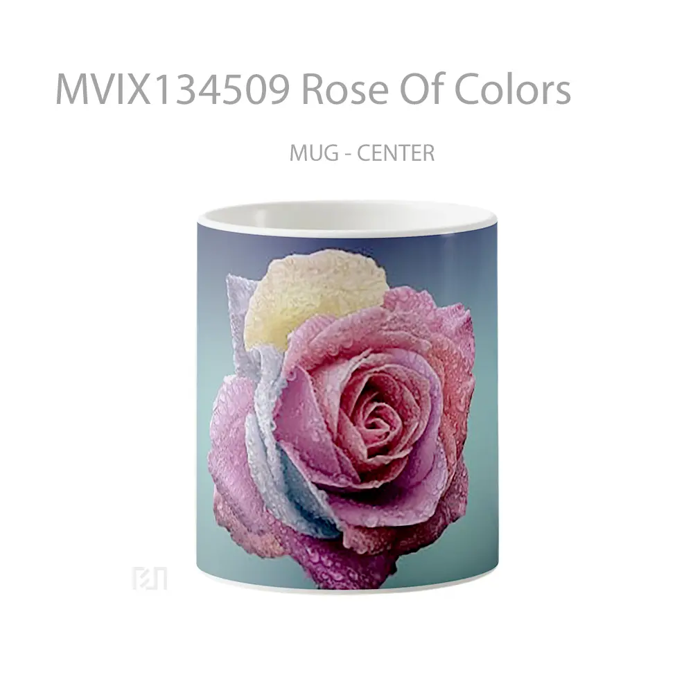 Mug Rose Of Colors Gelas Keramik Unik