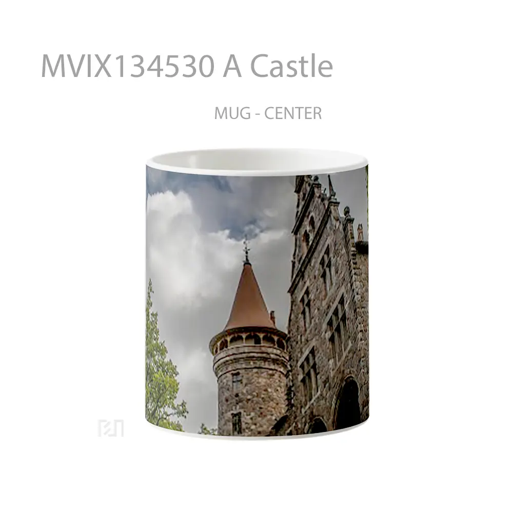Mug A Castle Gelas Keramik Unik