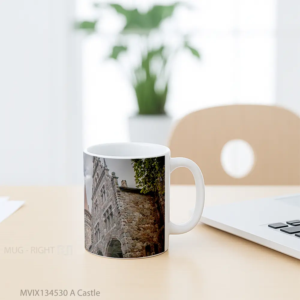Mug A Castle Gelas Keramik Unik - All-side / Desain