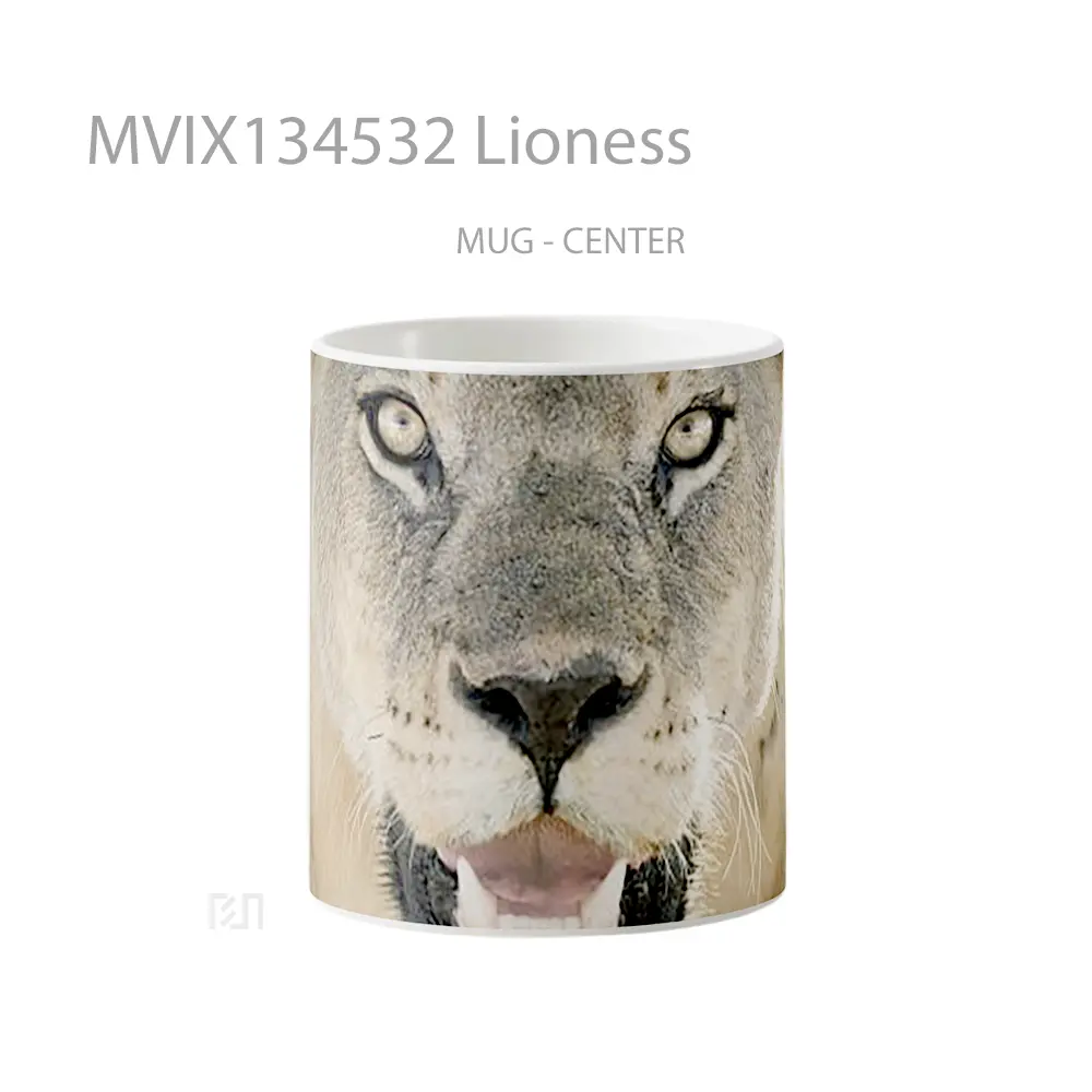 Mug Lioness Gelas Keramik Unik