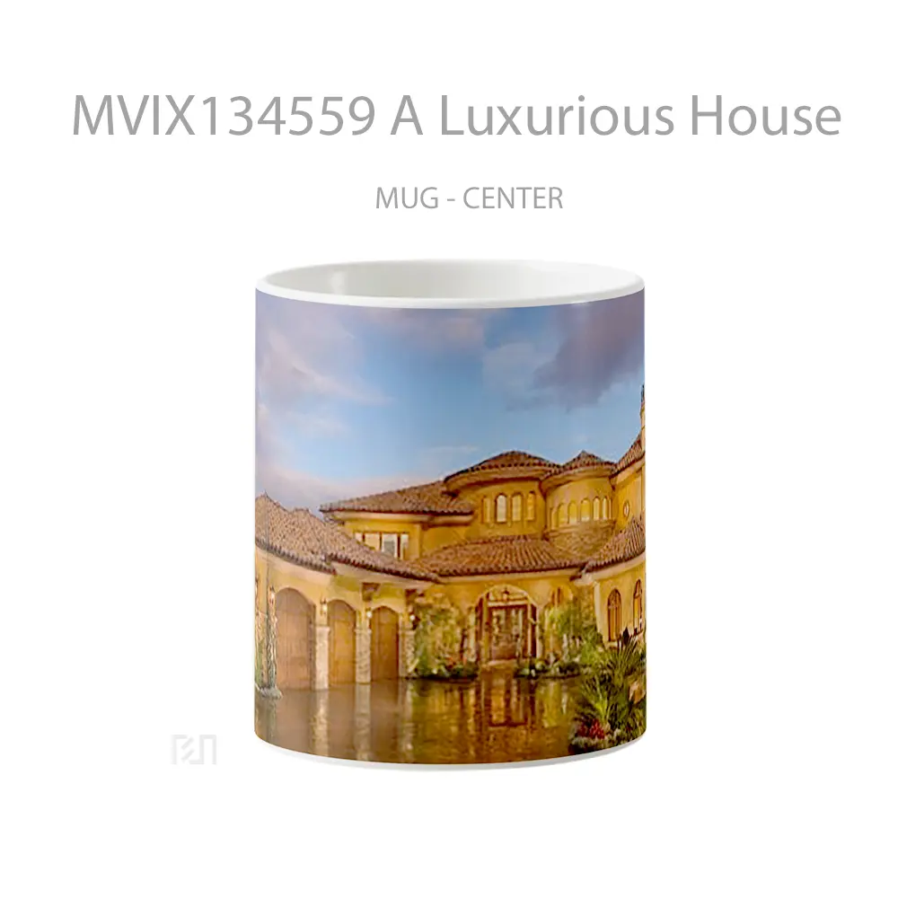 Mug A Luxurious House Gelas Keramik Unik