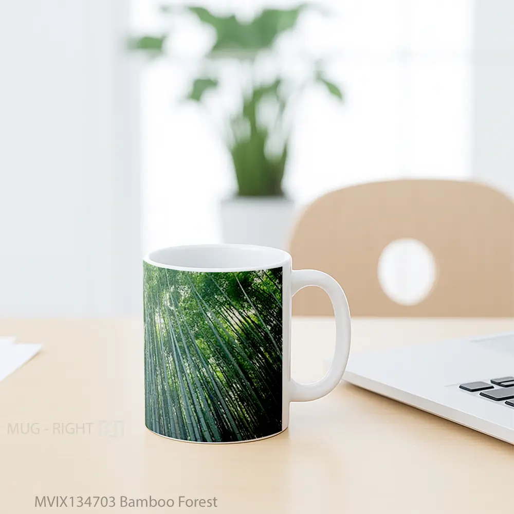 Mug Bamboo Forest Gelas Pemandangan Alam - All-side / Desain