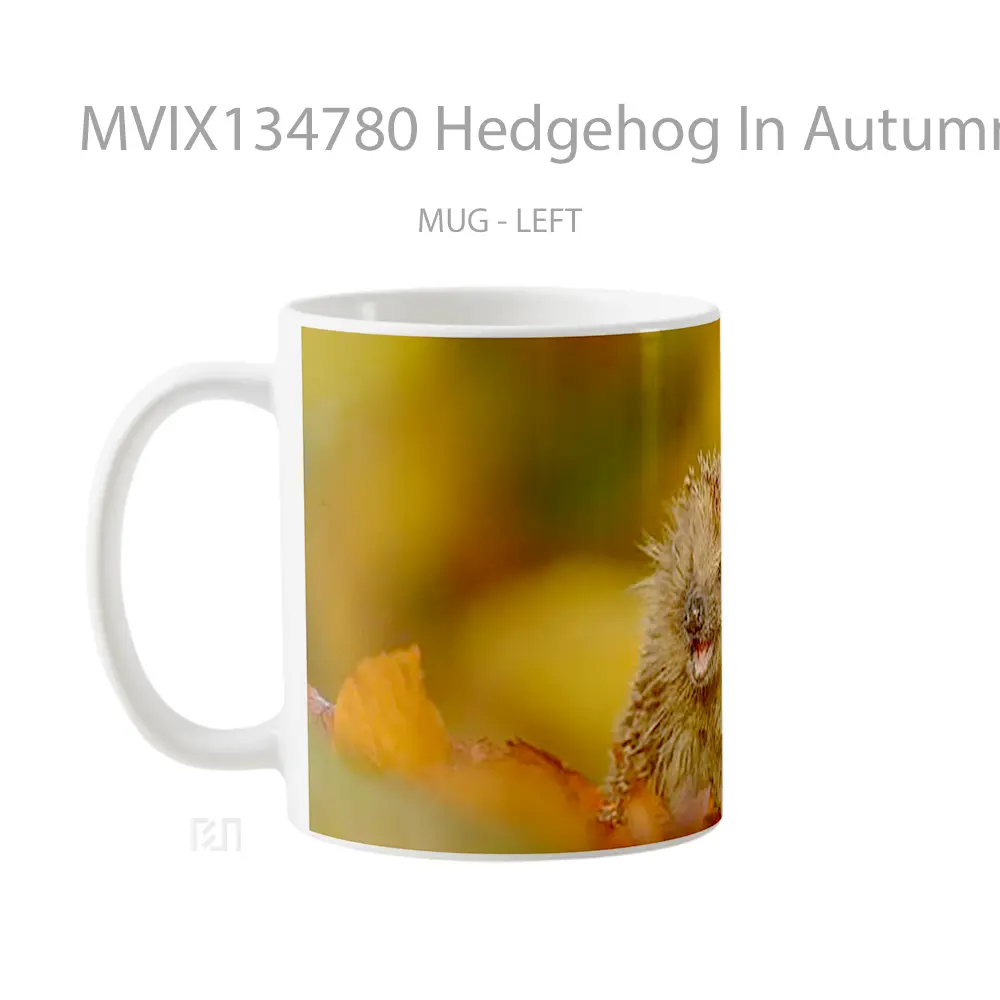 Mug Hedgehog In Autumn Gelas Keramik Unik - All-side / Desain
