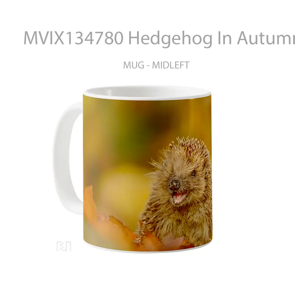 Mug Hedgehog In Autumn Gelas Keramik Unik - All-side / Desain