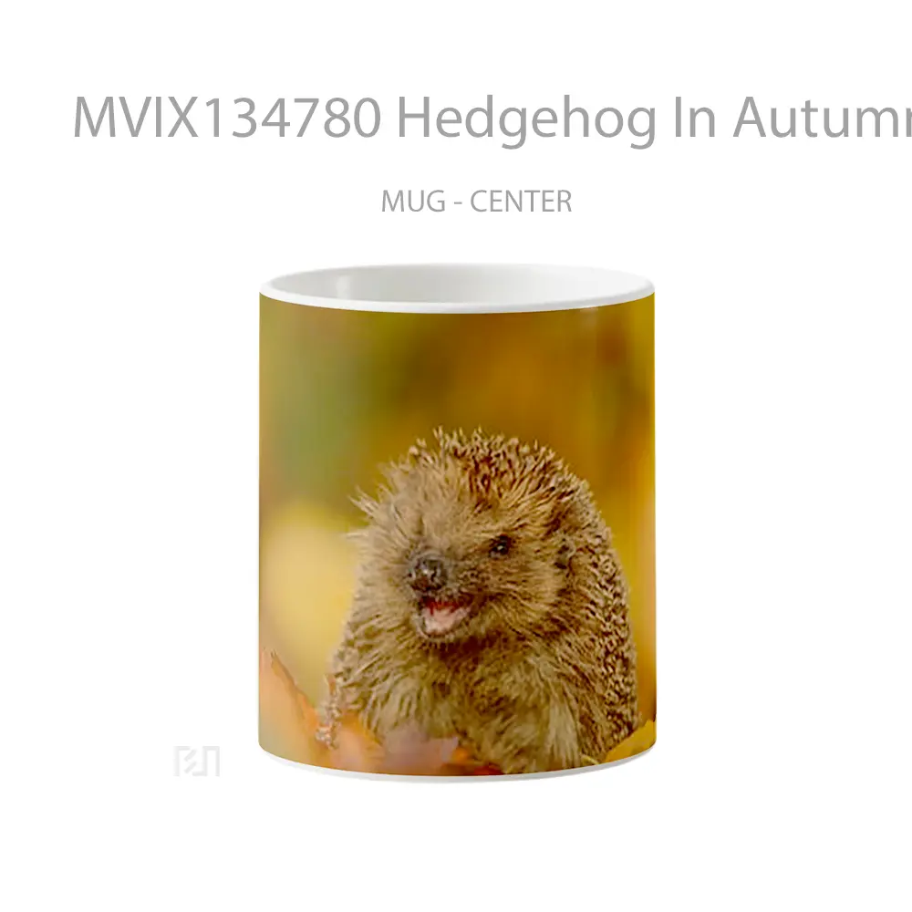 Mug Hedgehog In Autumn Gelas Keramik Unik