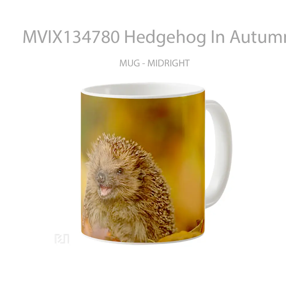 Mug Hedgehog In Autumn Gelas Keramik Unik - All-side / Desain
