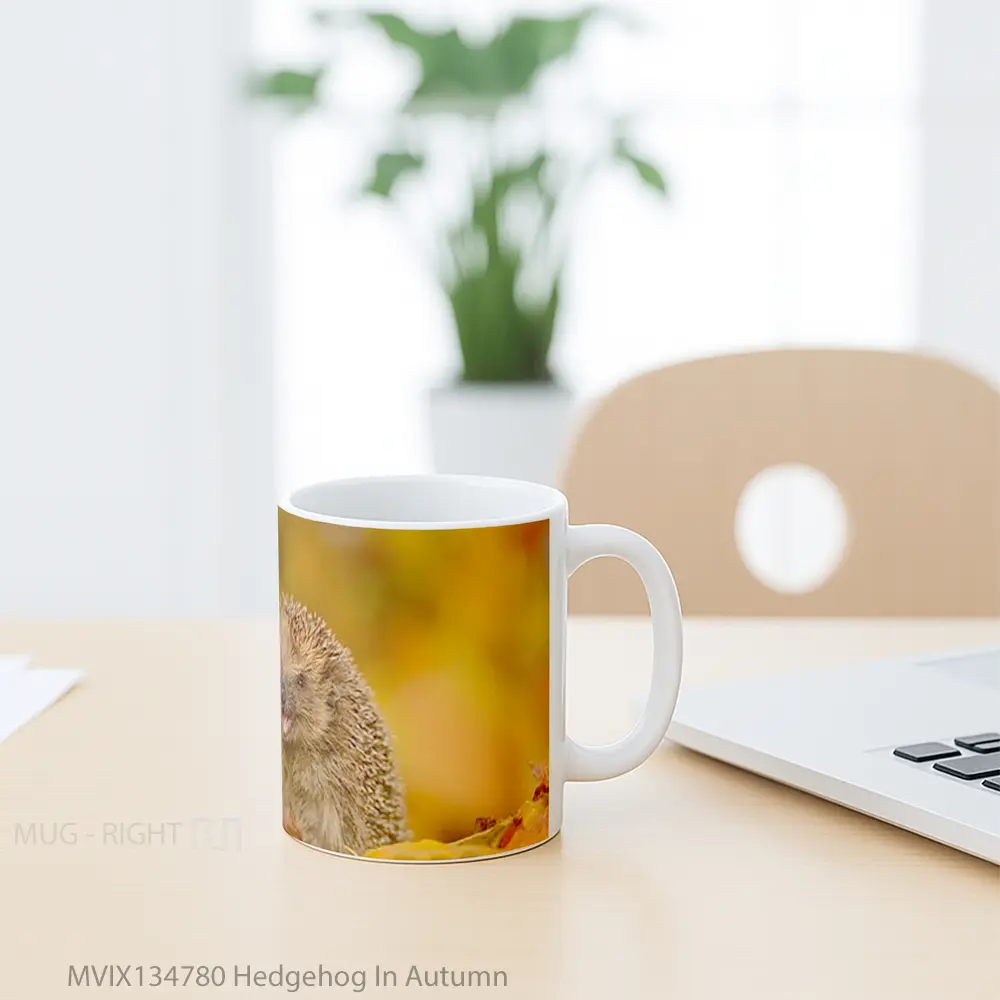 Mug Hedgehog In Autumn Gelas Keramik Unik - All-side / Desain