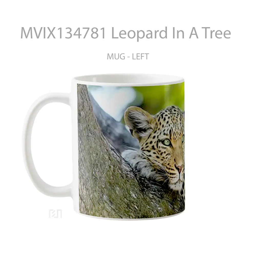 Mug Leopard In A Tree Gelas Pemandangan Alam - All-side / Desain