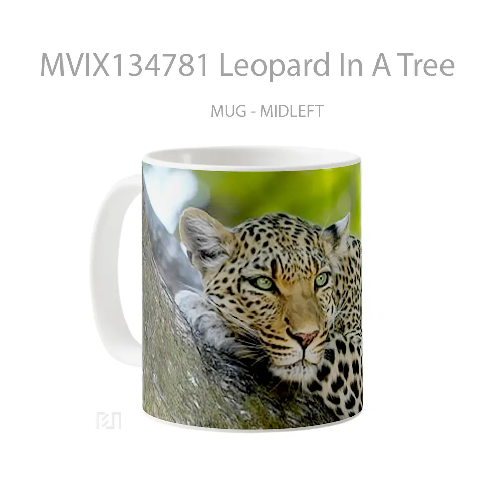 Mug Leopard In A Tree Gelas Pemandangan Alam - All-side / Desain