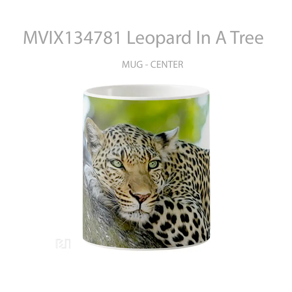 Mug Leopard In A Tree Gelas Pemandangan Alam
