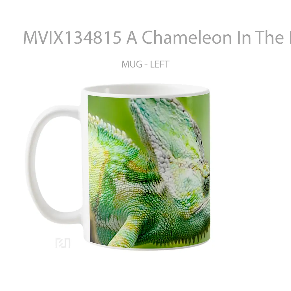 Mug A Chameleon In The Forest Gelas Pemandangan Alam - All-side / Desain