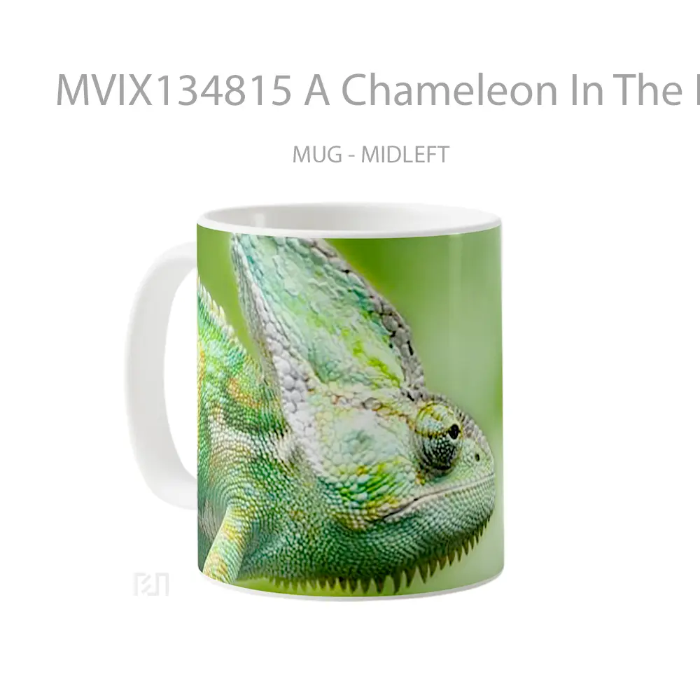 Mug A Chameleon In The Forest Gelas Pemandangan Alam - All-side / Desain