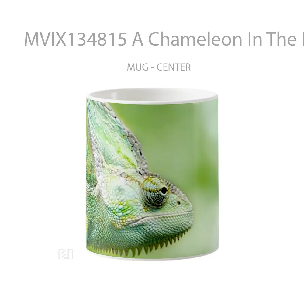 Mug A Chameleon In The Forest Gelas Pemandangan Alam