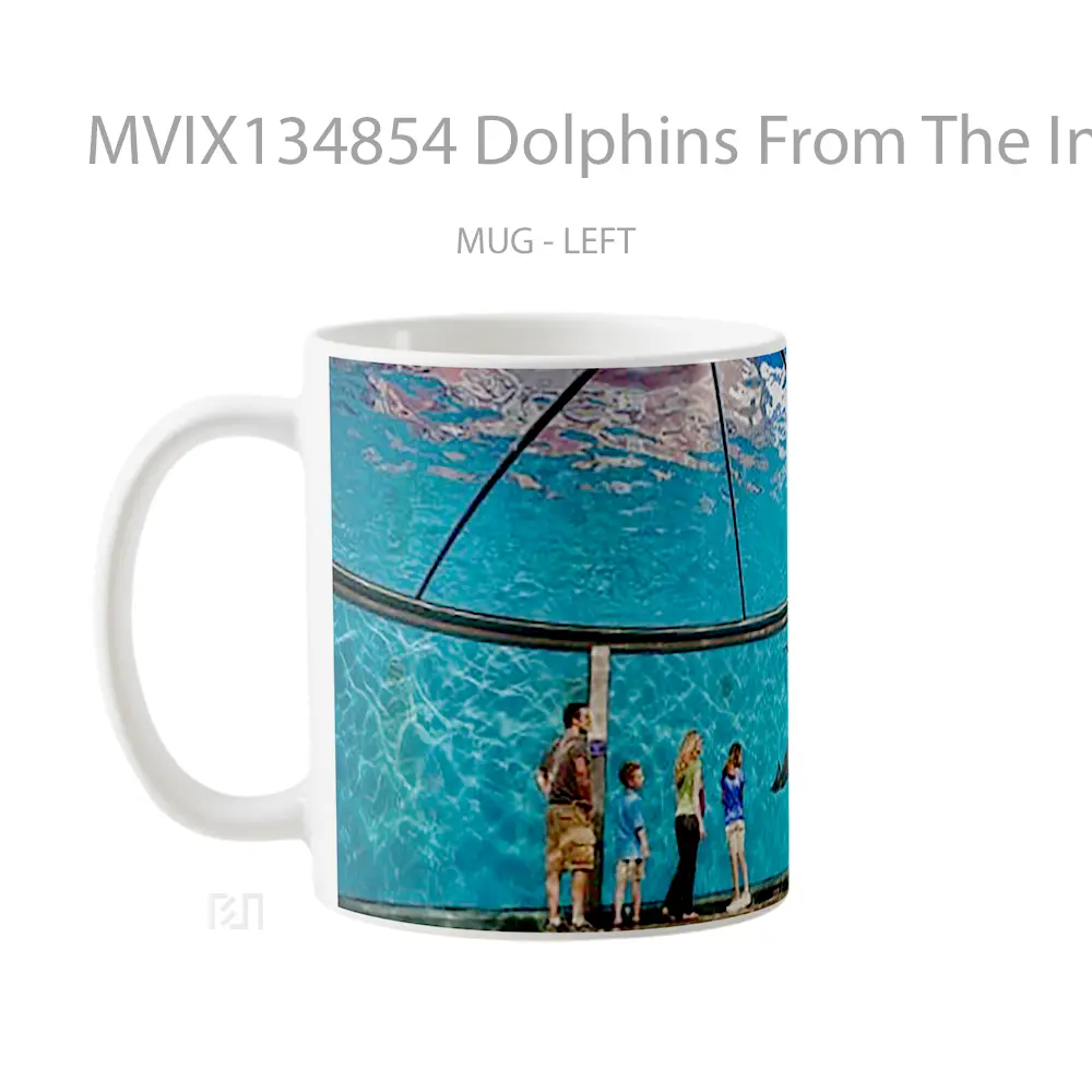 Mug Dolphins From The Indianapolis Zoo Gelas Hewan Lucu - All-side / Desain