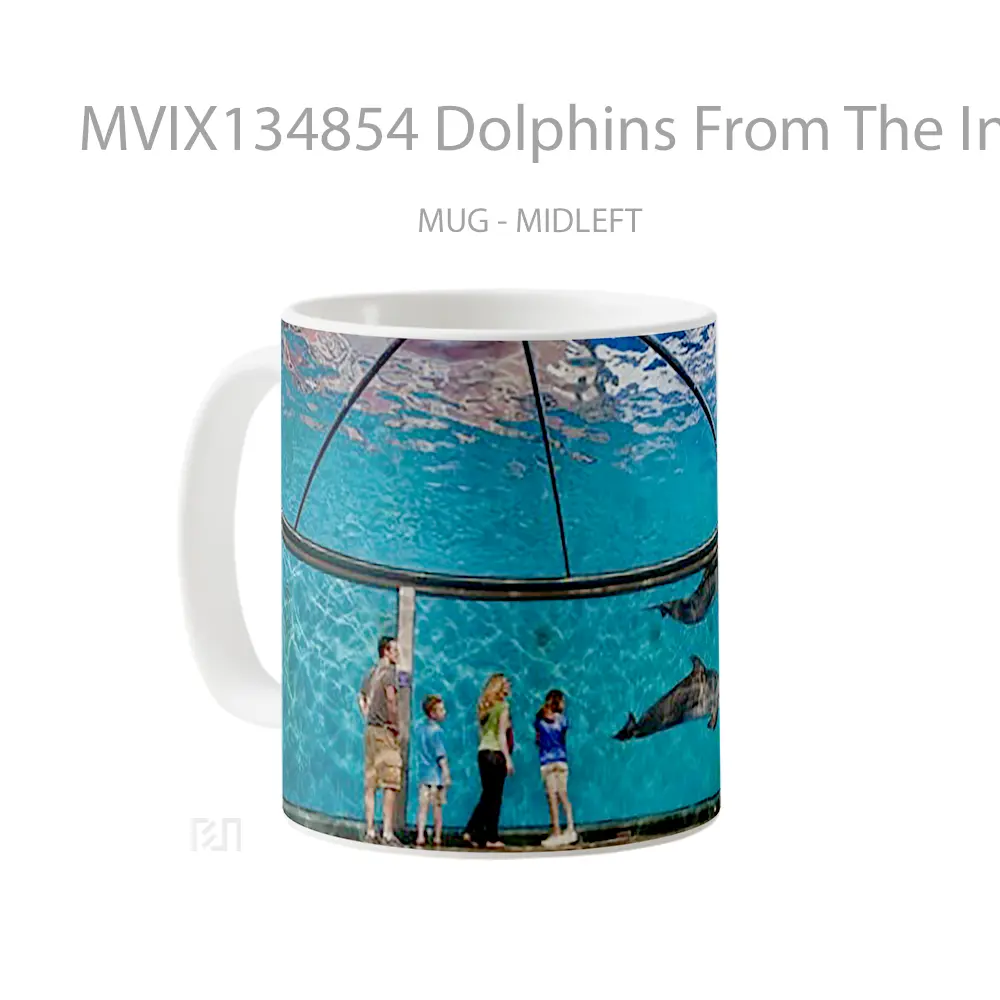 Mug Dolphins From The Indianapolis Zoo Gelas Hewan Lucu - All-side / Desain