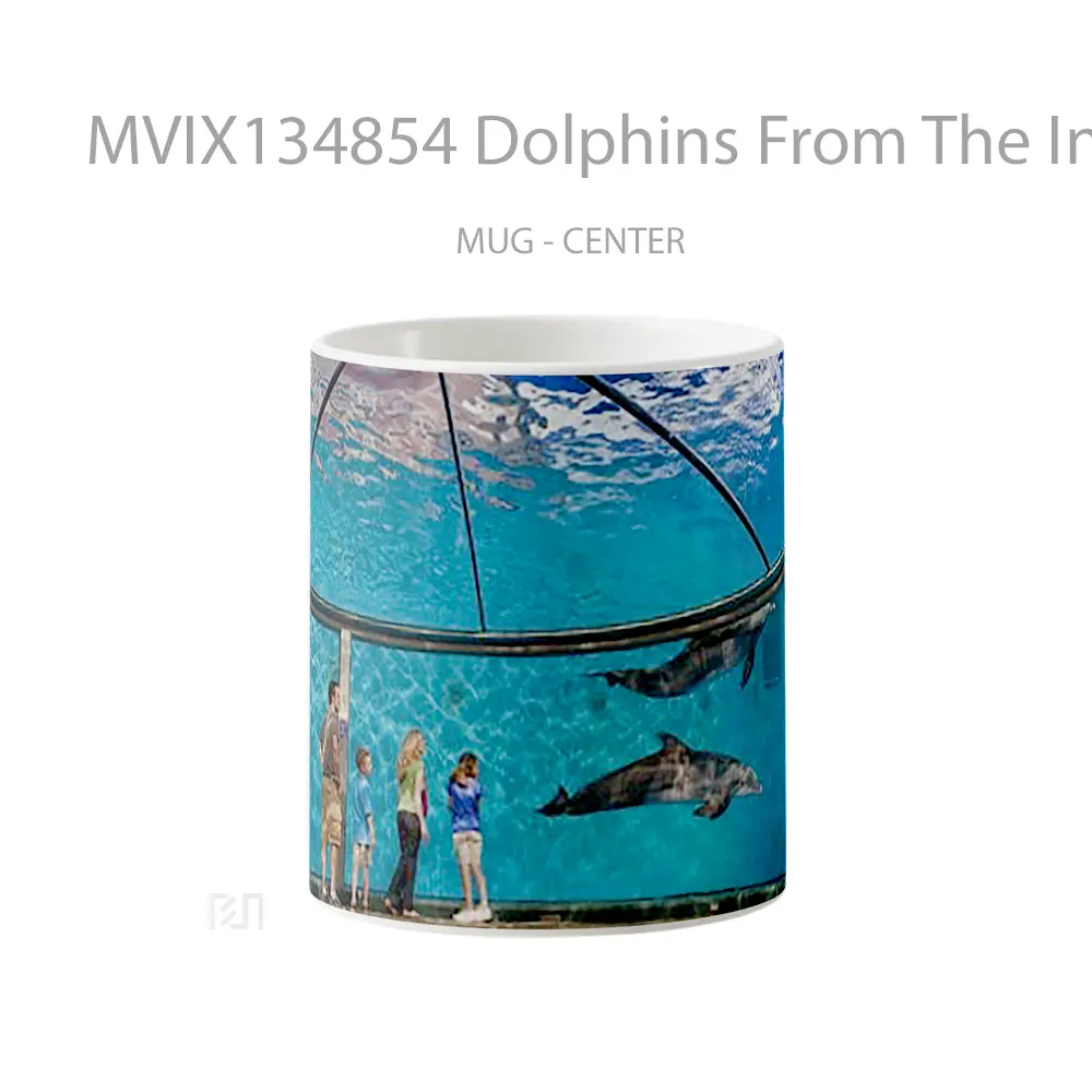 Mug Dolphins From The Indianapolis Zoo Gelas Hewan Lucu