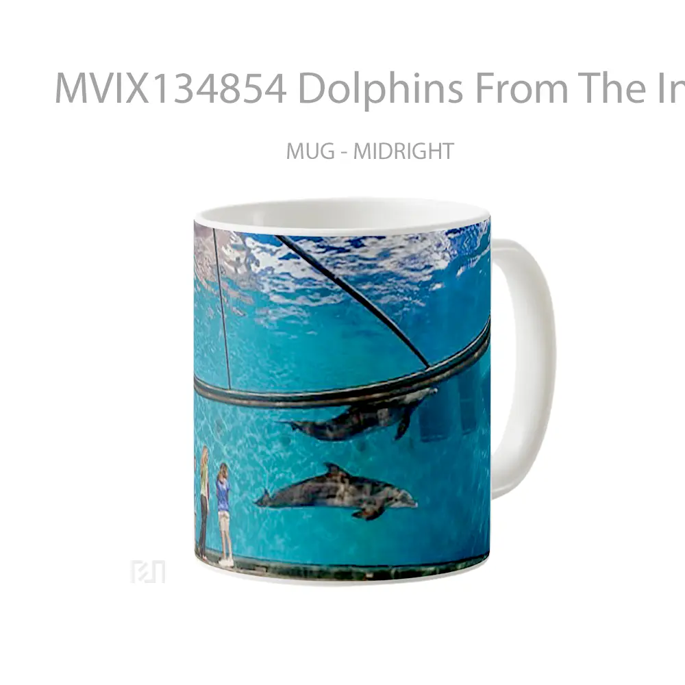 Mug Dolphins From The Indianapolis Zoo Gelas Hewan Lucu - All-side / Desain