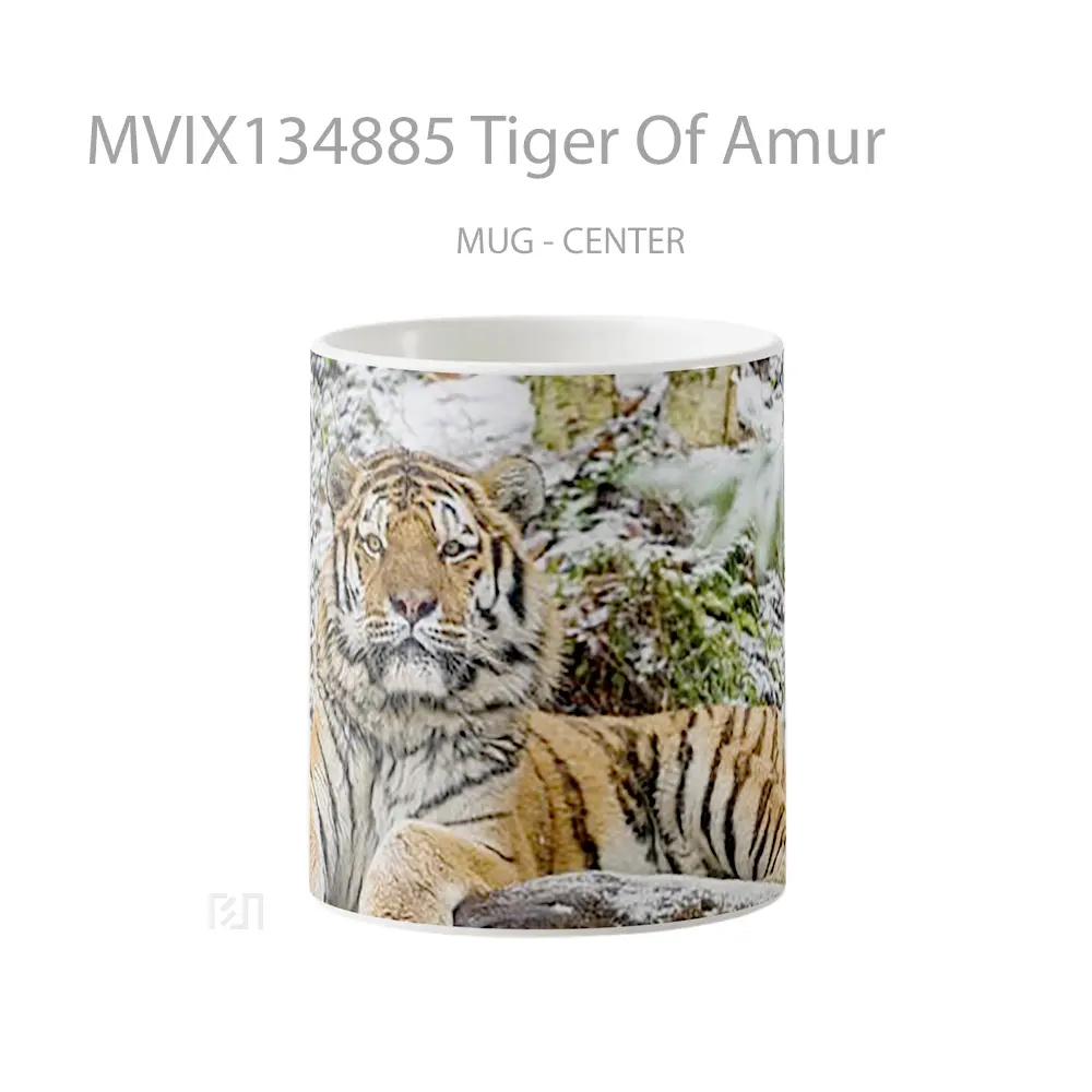 Mug Tiger Of Amur Gelas Hewan Lucu