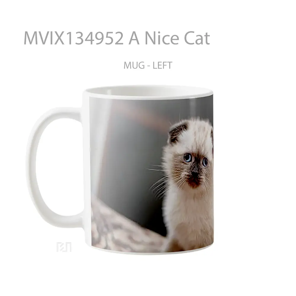 Mug A Nice Cat Gelas Hewan Lucu - All-side / Desain