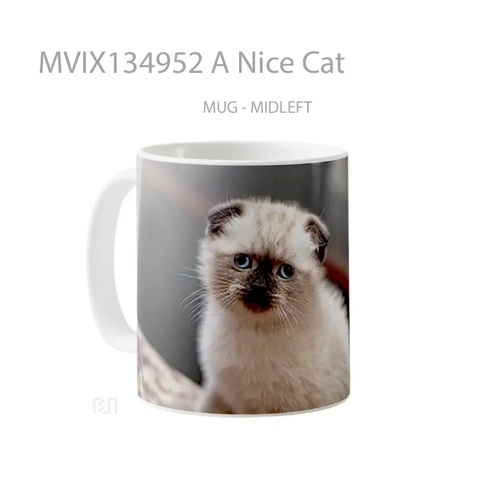 Mug A Nice Cat Gelas Hewan Lucu - All-side / Desain
