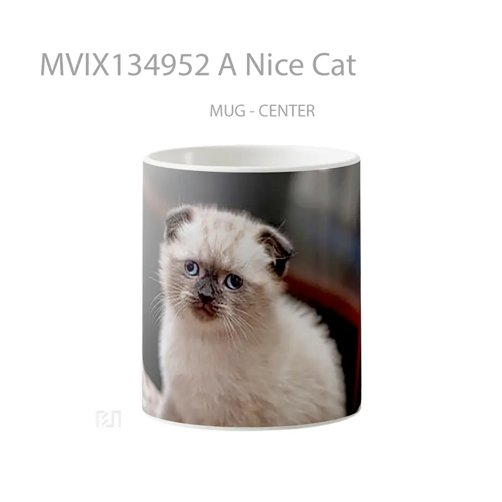 Mug A Nice Cat Gelas Hewan Lucu
