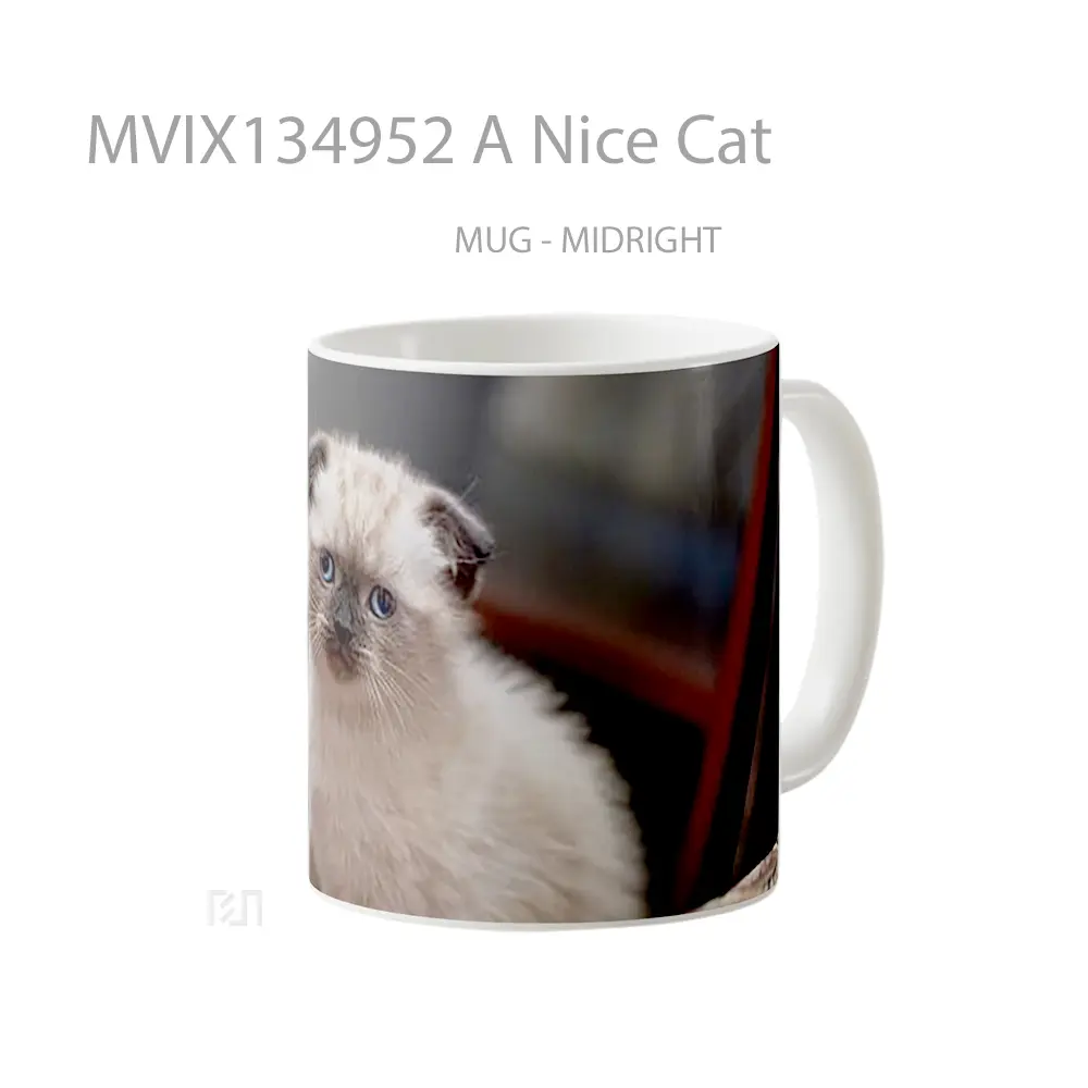 Mug A Nice Cat Gelas Hewan Lucu - All-side / Desain