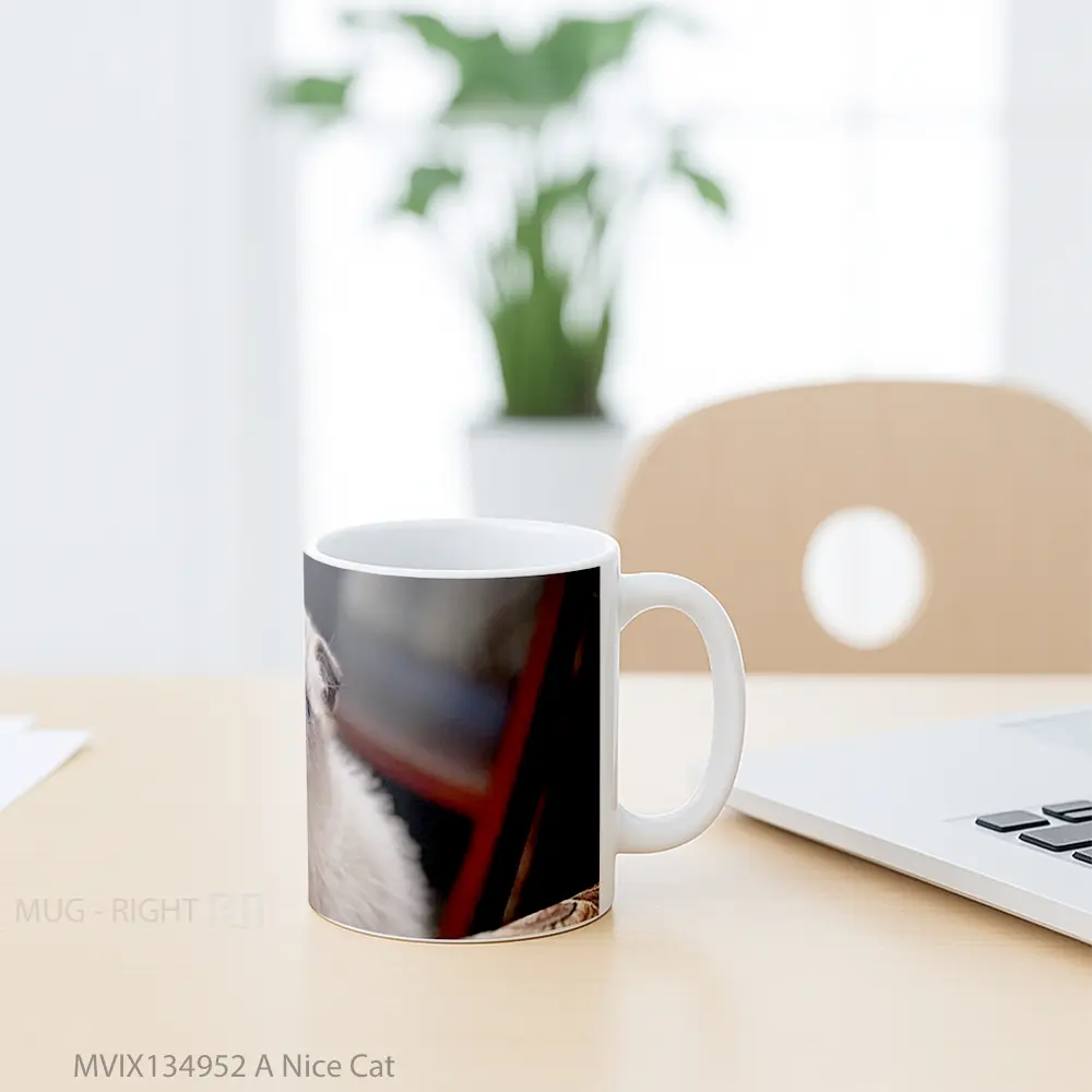 Mug A Nice Cat Gelas Hewan Lucu - All-side / Desain