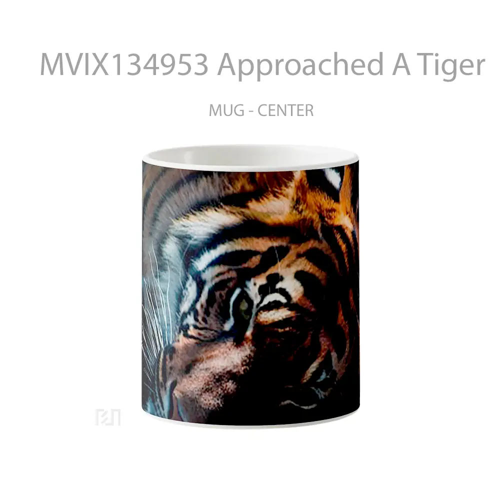 Mug Approached A Tiger Gelas Hewan Lucu