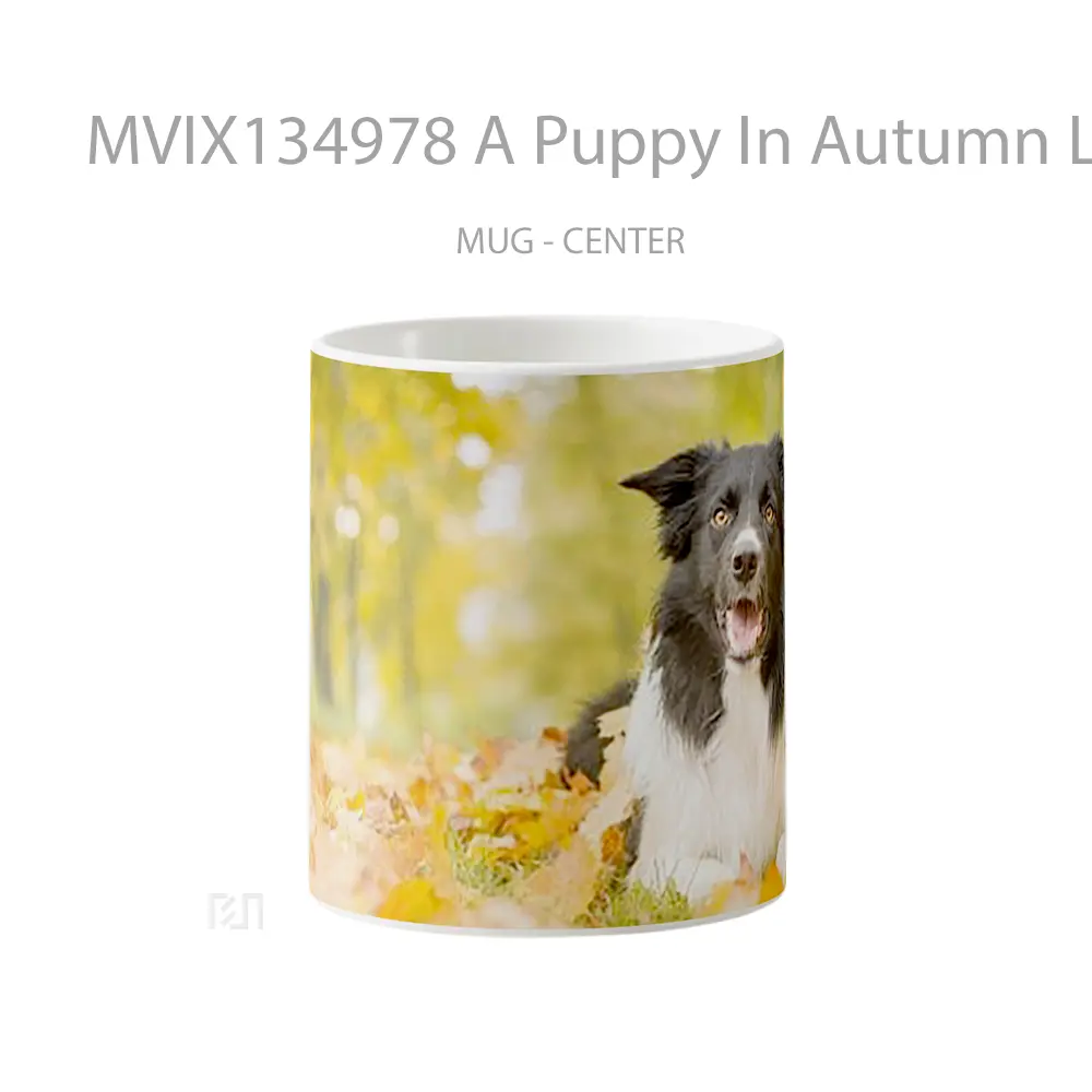 Mug A Puppy In Autumn Leaves Gelas Hewan Lucu