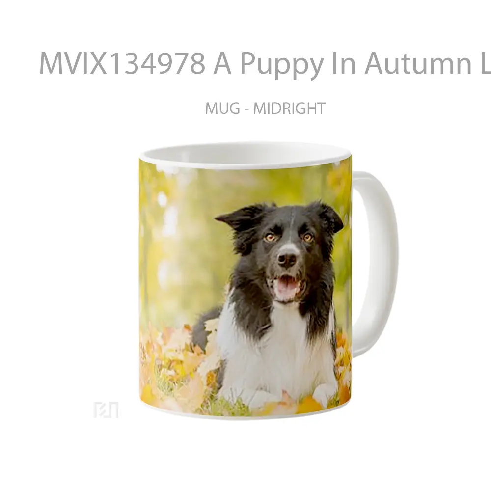Mug A Puppy In Autumn Leaves Gelas Hewan Lucu - All-side / Desain