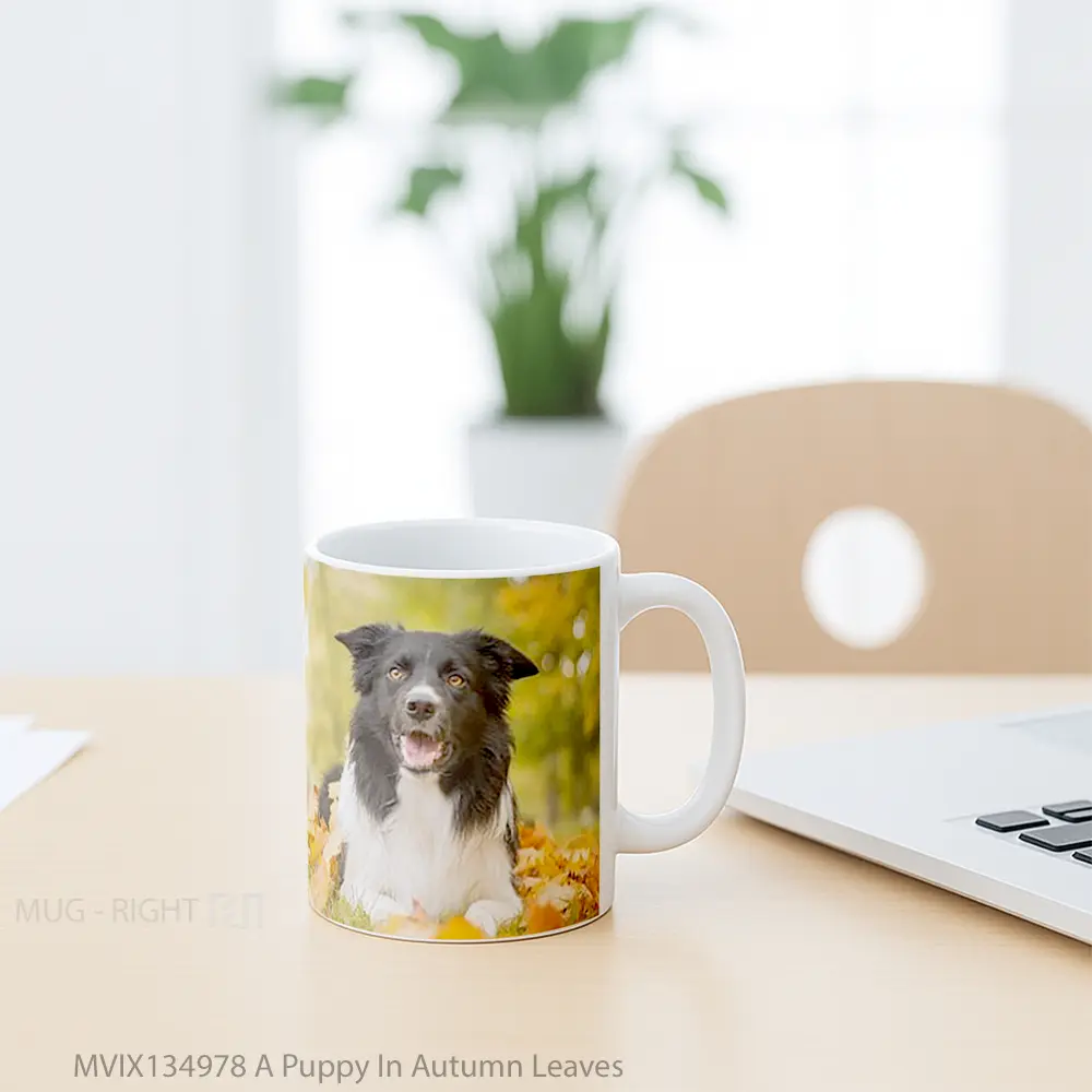Mug A Puppy In Autumn Leaves Gelas Hewan Lucu - All-side / Desain