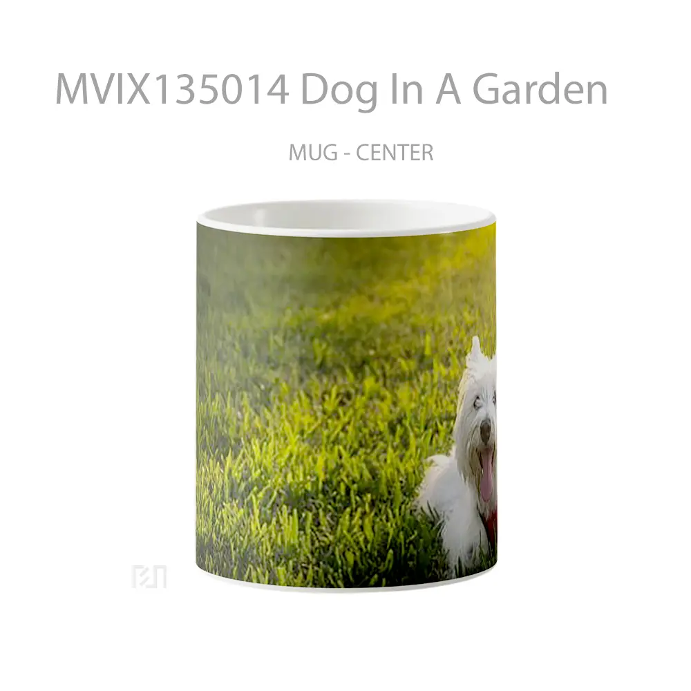 Mug Keramik Premium SNI - Mug Dog In A Garden Gelas Hewan Lucu