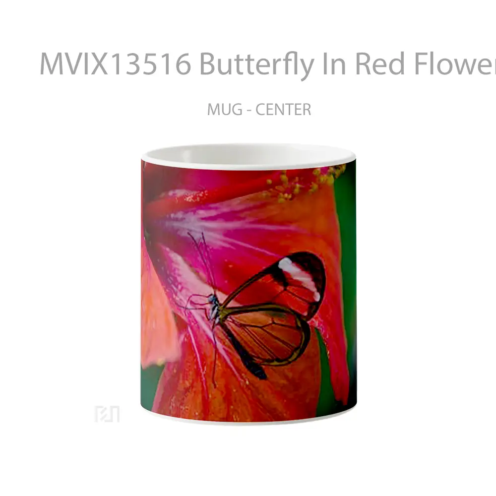 Mug Butterfly In Red Flower V1 Gelas Hewan Lucu