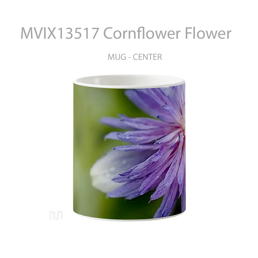 Mug Cornflower Flower Gelas Pemandangan Alam