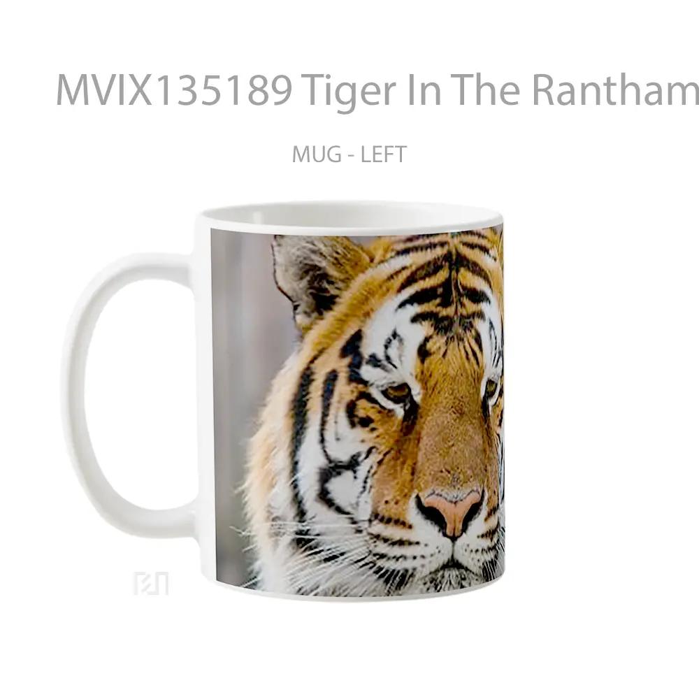 Mug Tiger In The Ranthambore Reserve Gelas Hewan Lucu - All-side / Desain