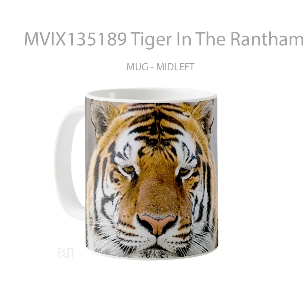Mug Tiger In The Ranthambore Reserve Gelas Hewan Lucu - All-side / Desain