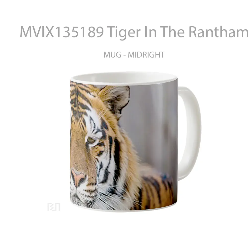 Mug Tiger In The Ranthambore Reserve Gelas Hewan Lucu - All-side / Desain