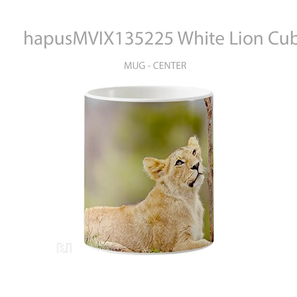 Mug White Lion Cub Gelas Hewan Lucu