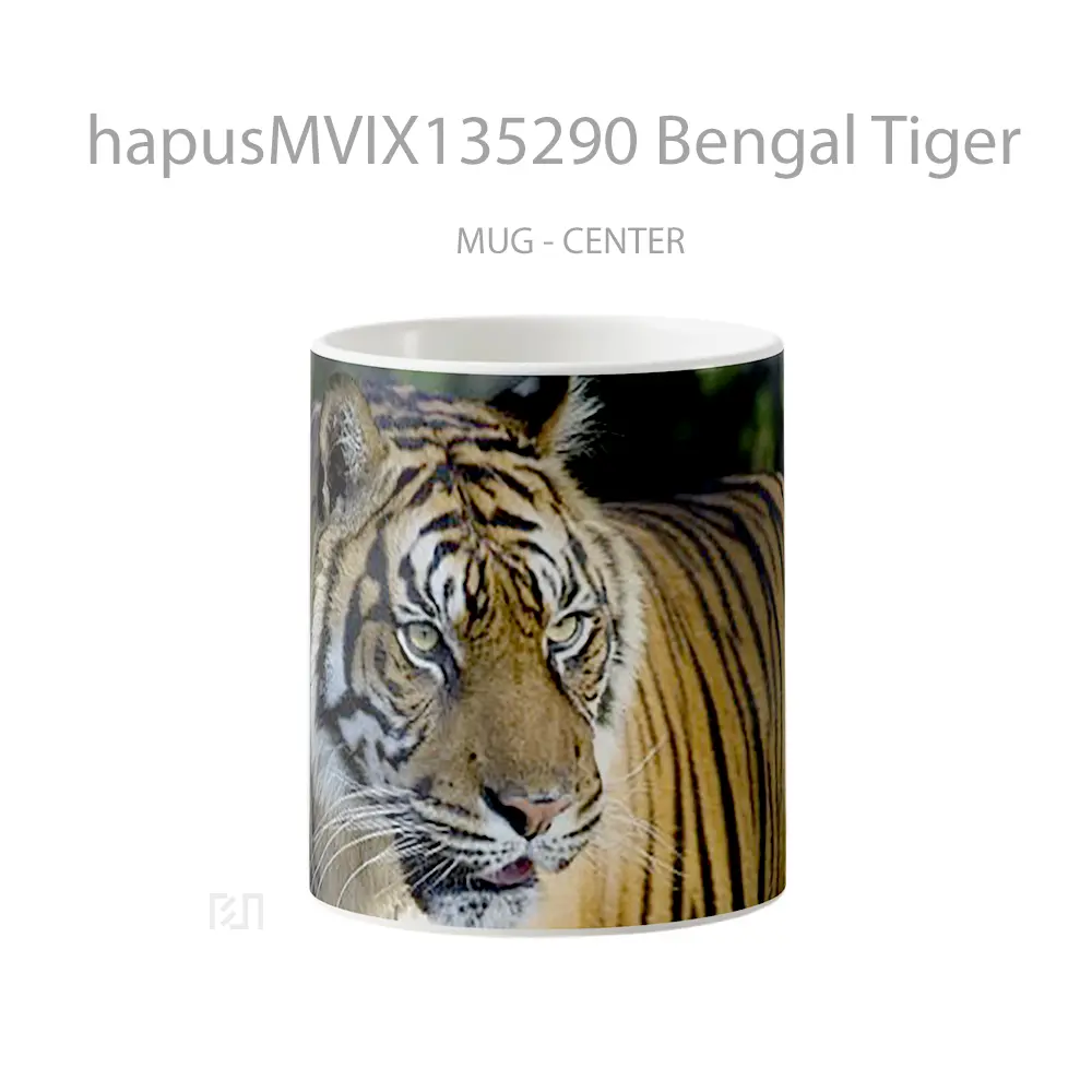 Mug Bengal Tiger Gelas Hewan Lucu