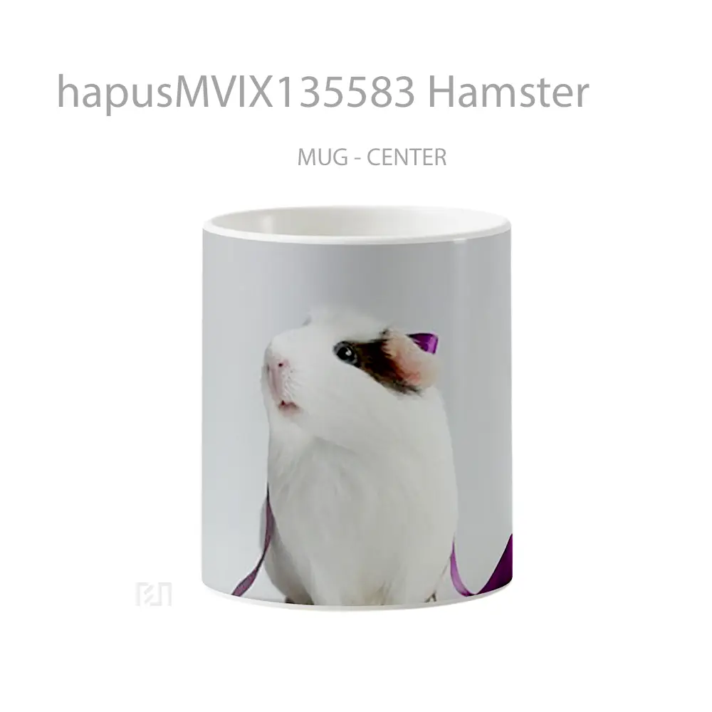 Mug Hamster Gelas Hewan Lucu