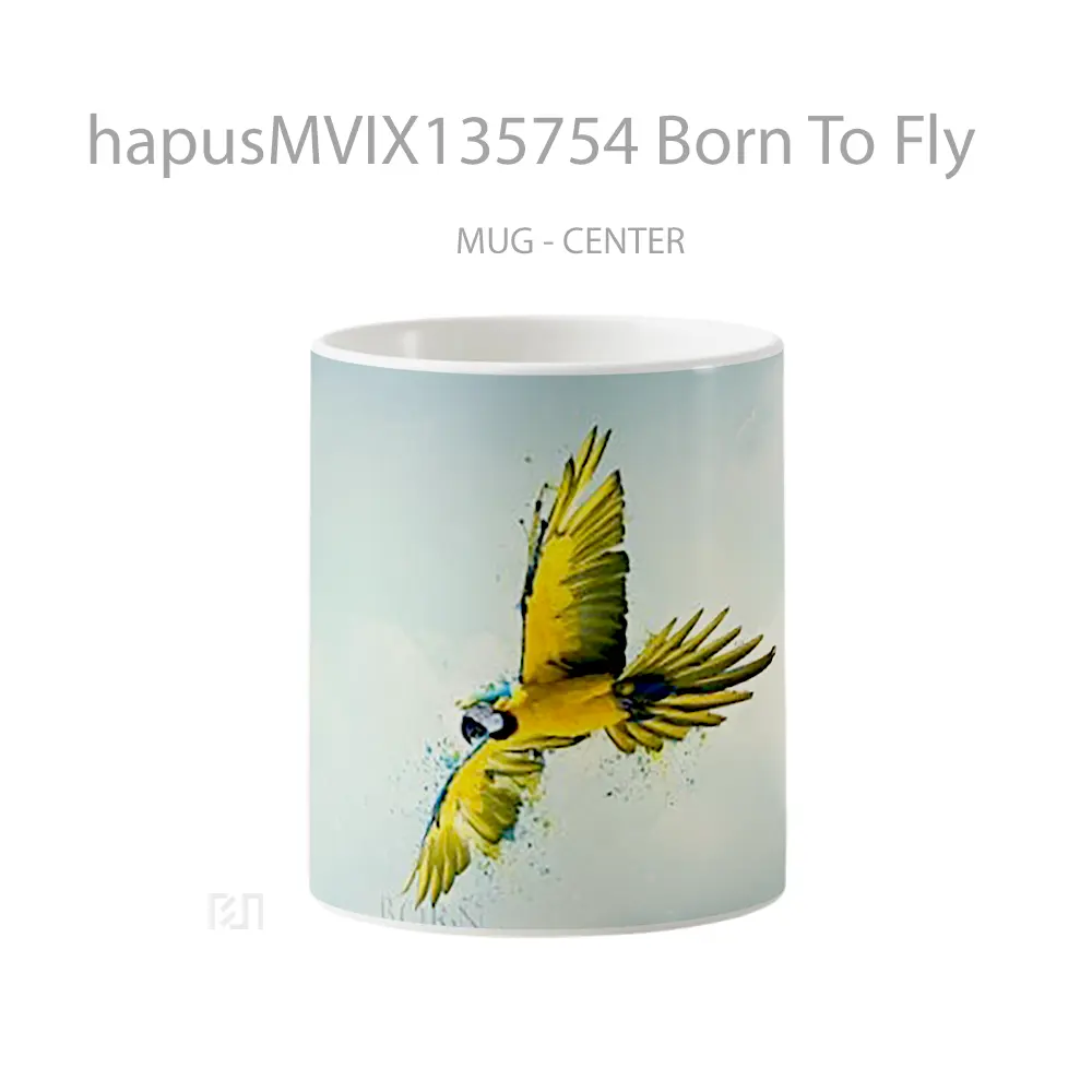 Mug Born To Fly Gelas Keramik Unik