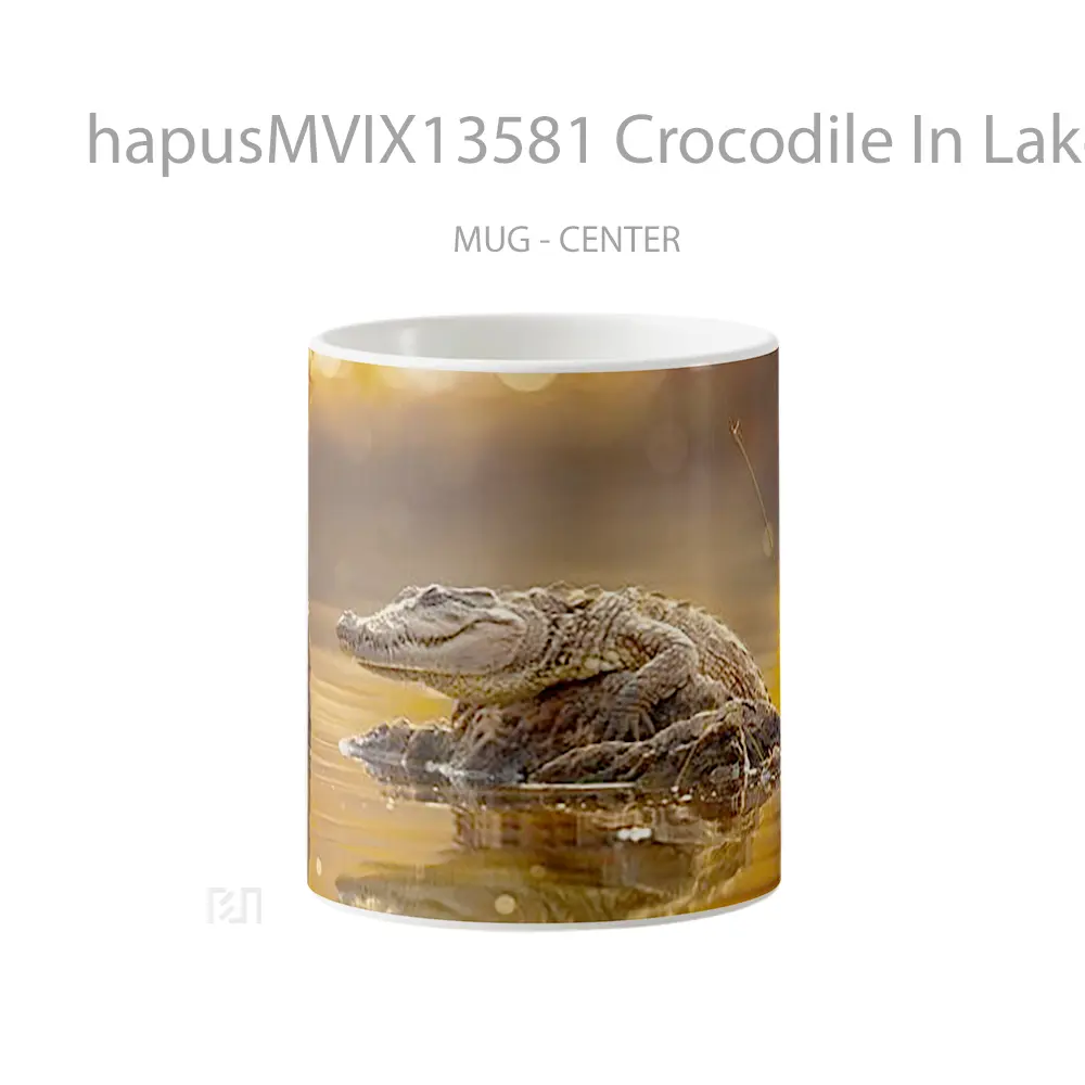 Mug Crocodile In Lake Gelas Pemandangan Alam