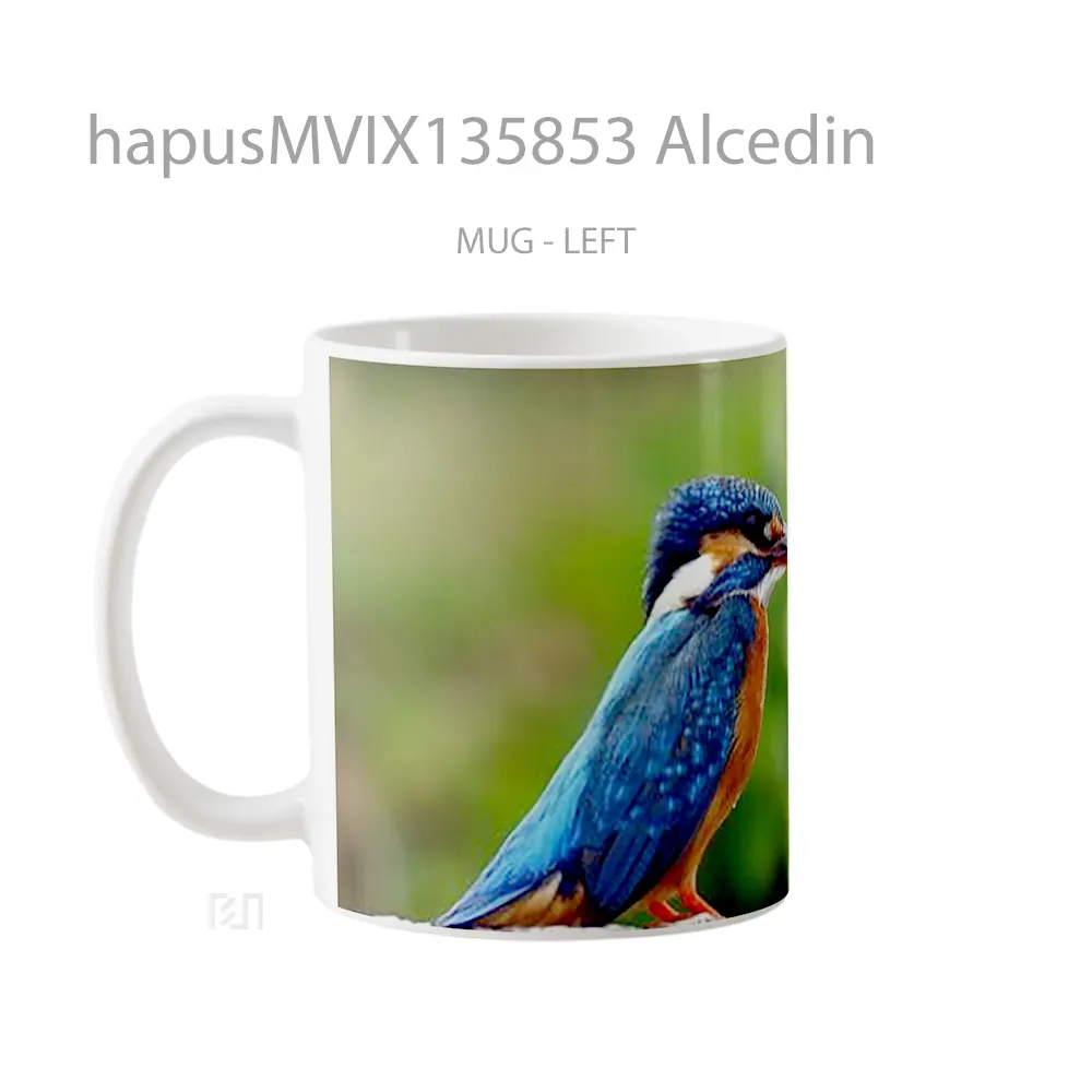 Mug Alcedin Gelas Keramik Unik - All-side / Desain