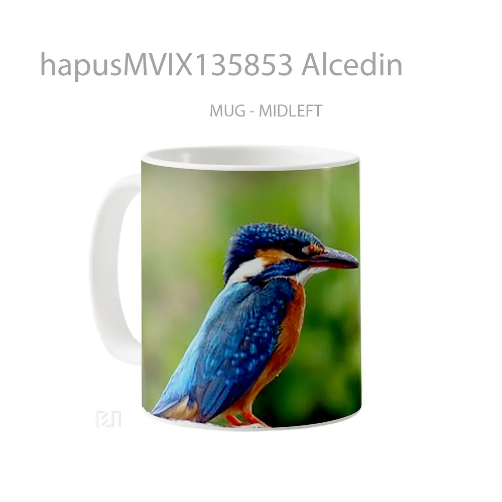 Mug Alcedin Gelas Keramik Unik - All-side / Desain