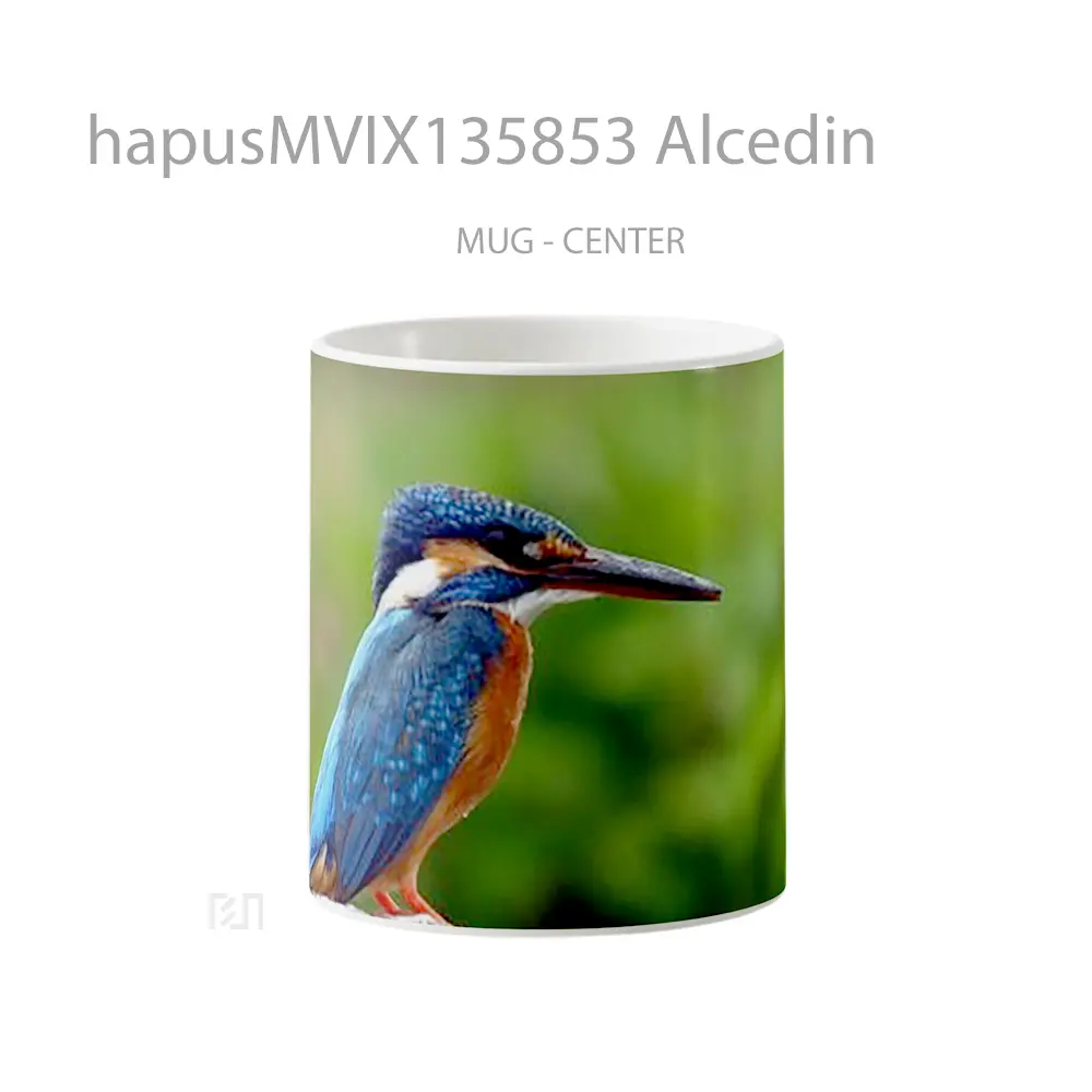 Mug Alcedin Gelas Keramik Unik