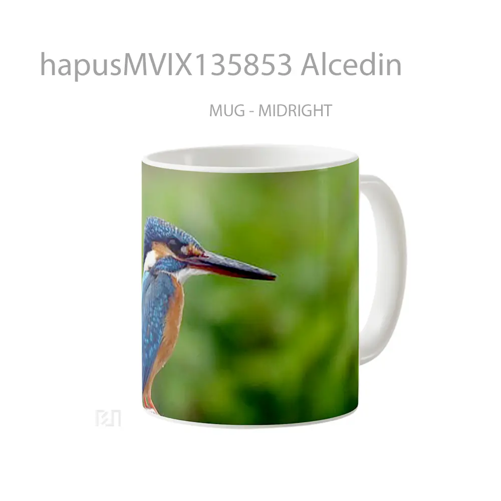 Mug Alcedin Gelas Keramik Unik - All-side / Desain