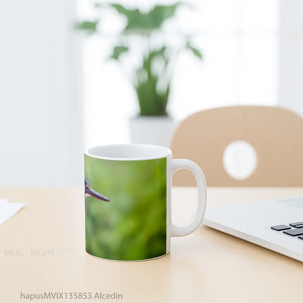 Mug Alcedin Gelas Keramik Unik - All-side / Desain