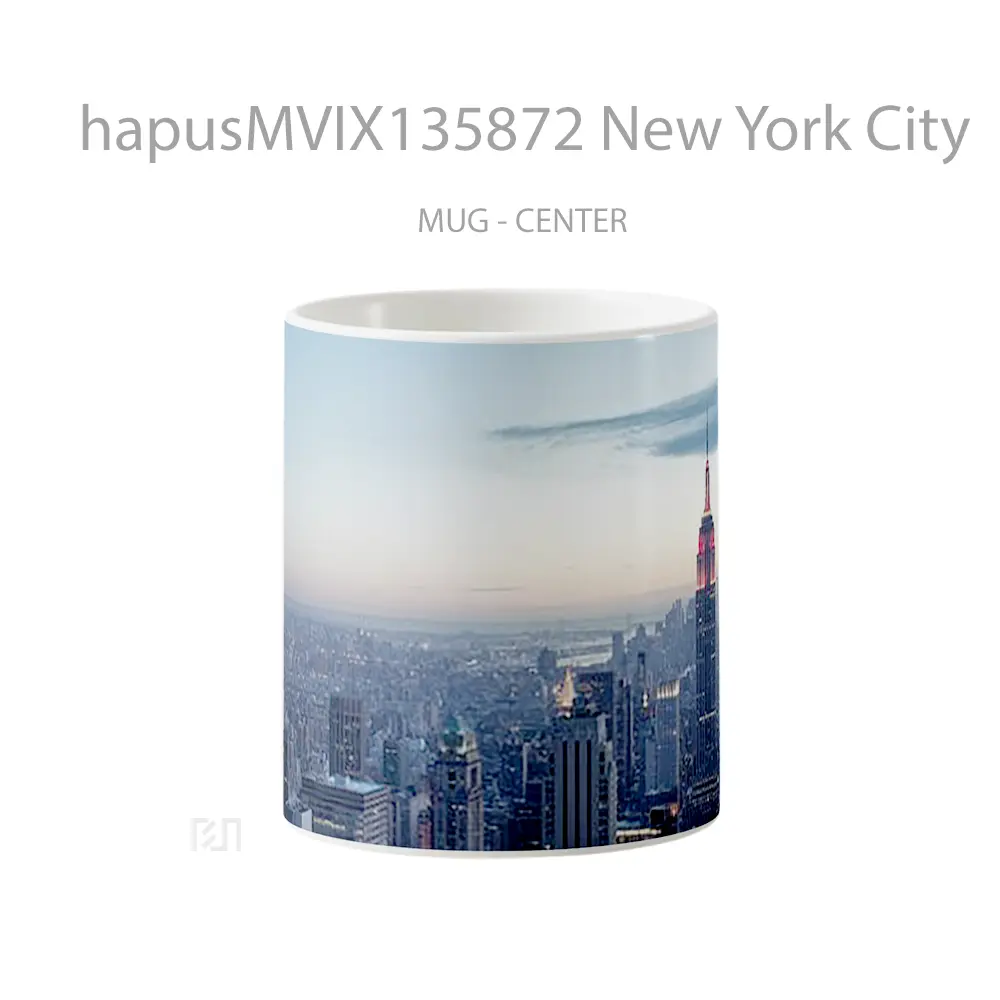 Mug New York City Gelas Keramik Unik