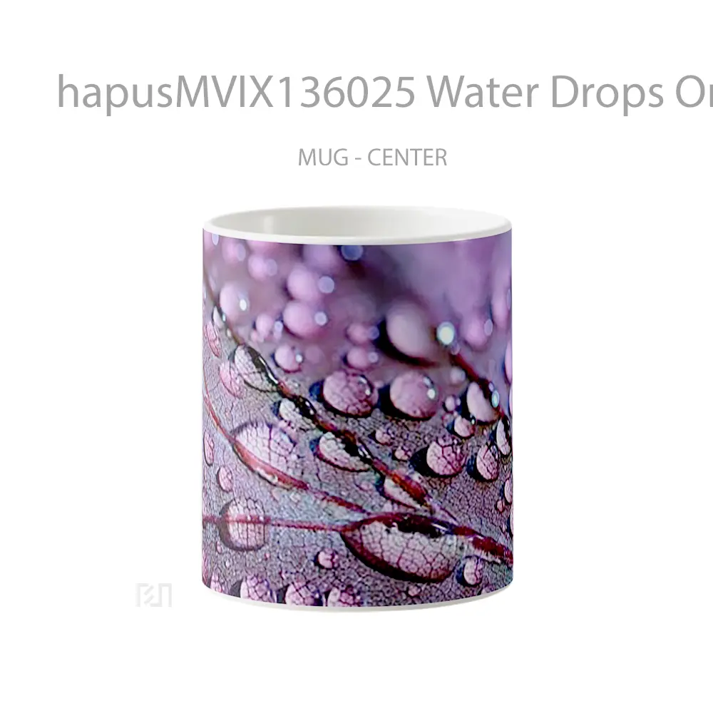 Mug Water Drops On A Purple Leaf Gelas Pemandangan Alam