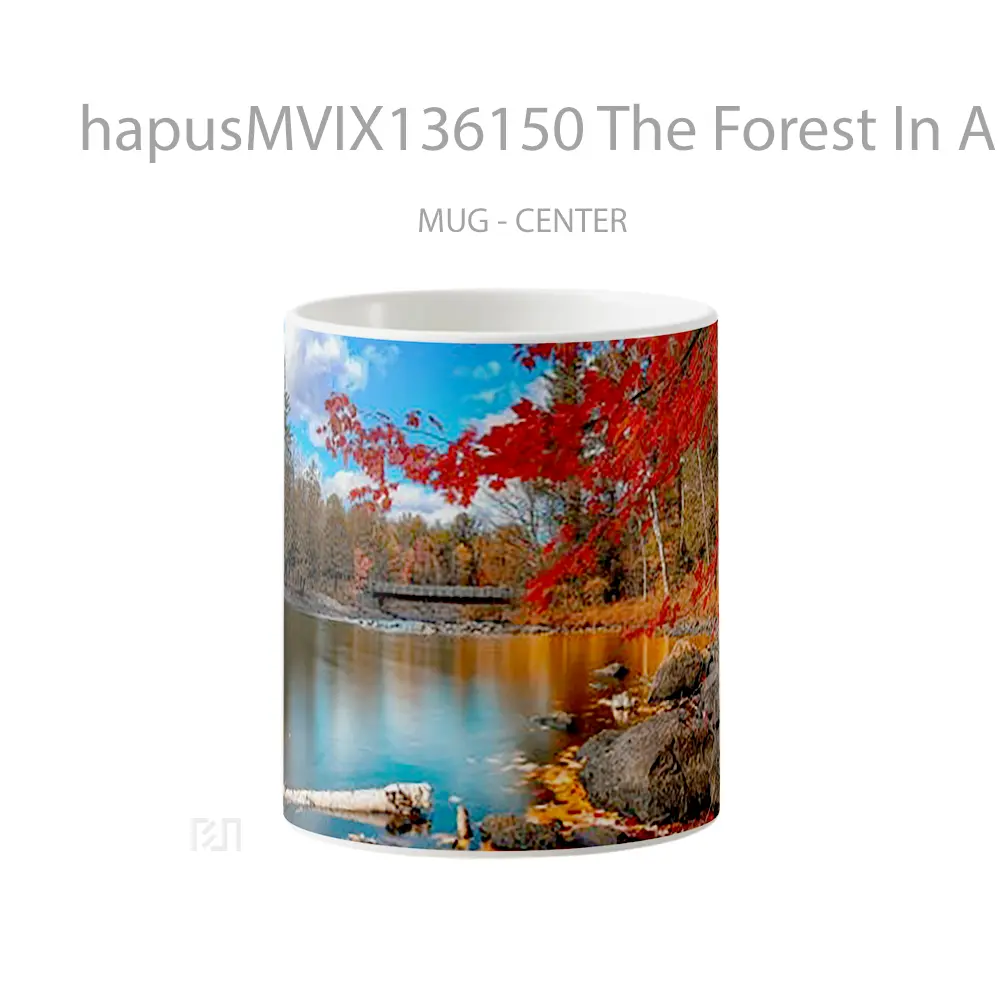 Mug The Forest In Autumn Gelas Pemandangan Alam